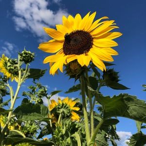 Meet your Posher, Jay